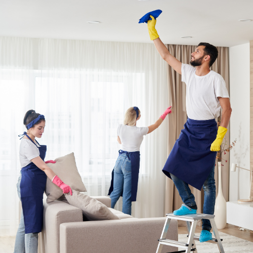 Deluxe (One-Time) - Lake Stevens Cleaning Services