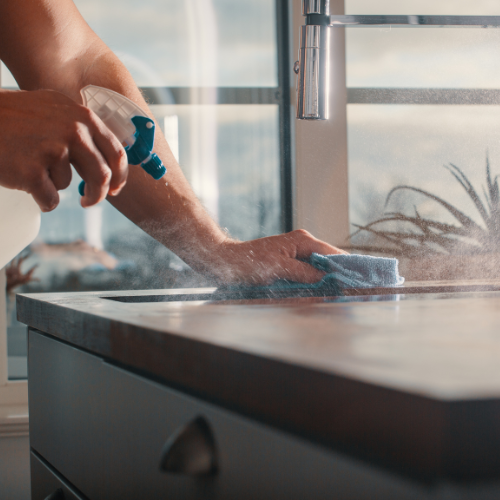 Basic: (Monthly) Cleaning - Lake Stevens Cleaning Services